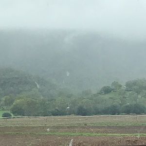 Meet your Posher, Eden